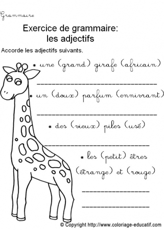 Fiche_grammaire51.jpg