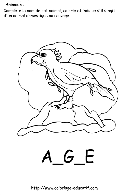 coloriage_aigle.gif
