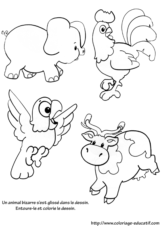 coloriage_animal_bizarre.gif