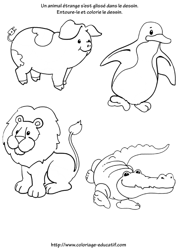 coloriage_animal_etrange.gif