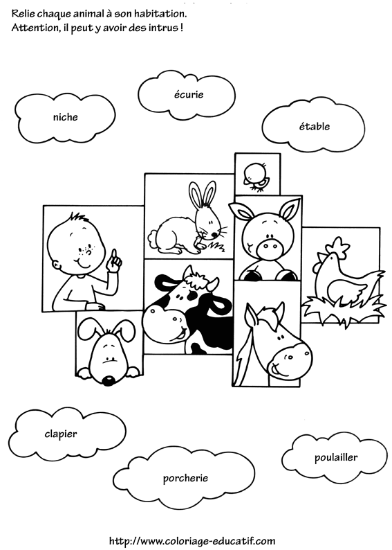 coloriage_animaux_et_habitat.gif
