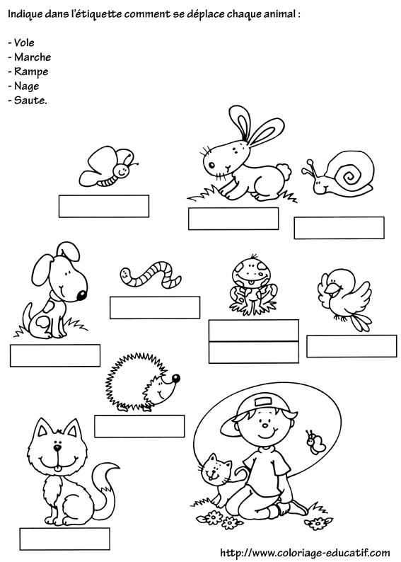 coloriage_deplacement_d_animaux.gif