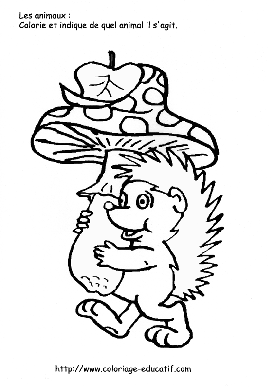coloriage_herisson.gif