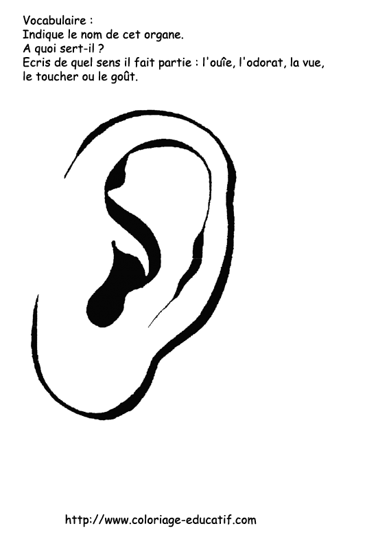 coloriage_l_oreille.gif