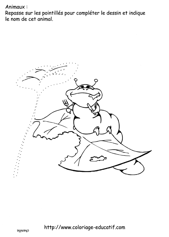 coloriage_la_chenille.gif