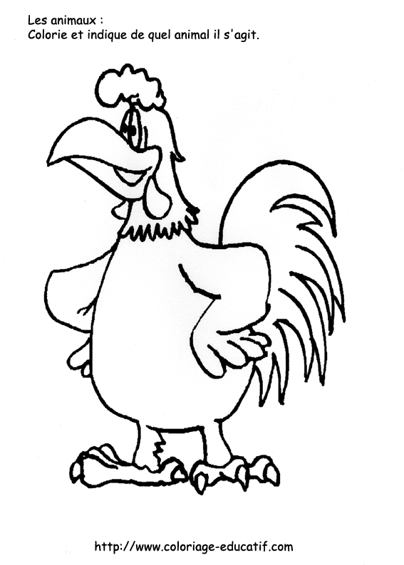 coloriage_le_coq.gif