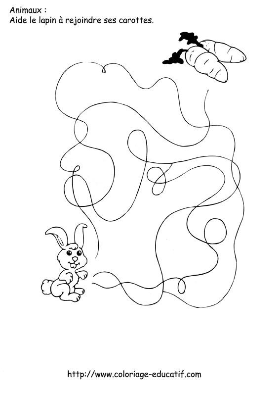 coloriage_le_lapin_et_ses_carottes.gif