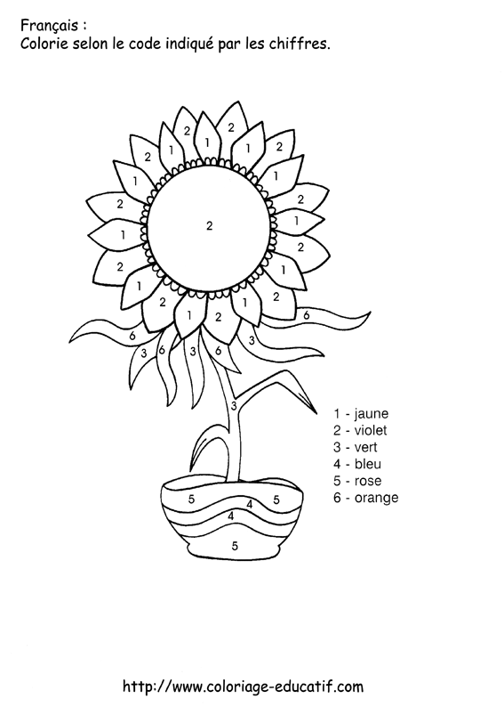 coloriage_le_tournesol.gif