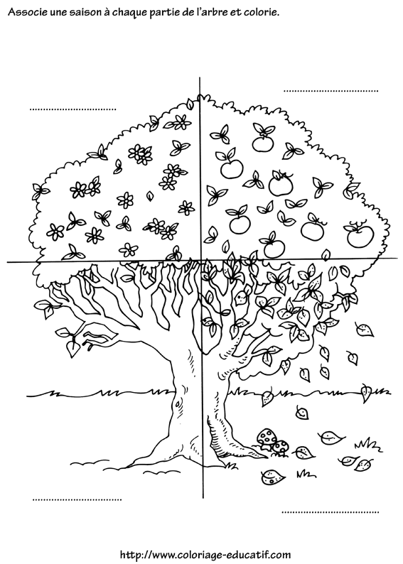 coloriage_les_4_saisons.gif