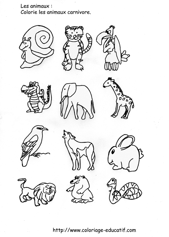 coloriage_les_animaux_carnivore.gif