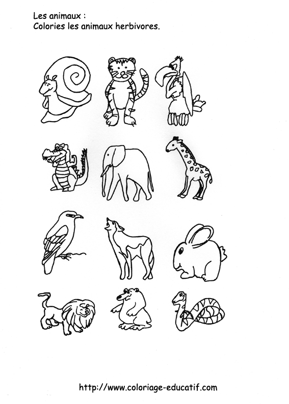 coloriage_les_animaux_herbivores.gif