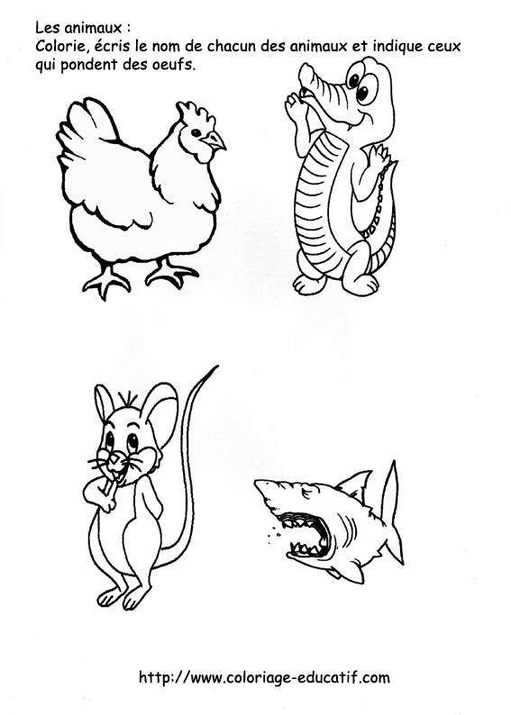 coloriage_les_animaux_qui_pondent.gif