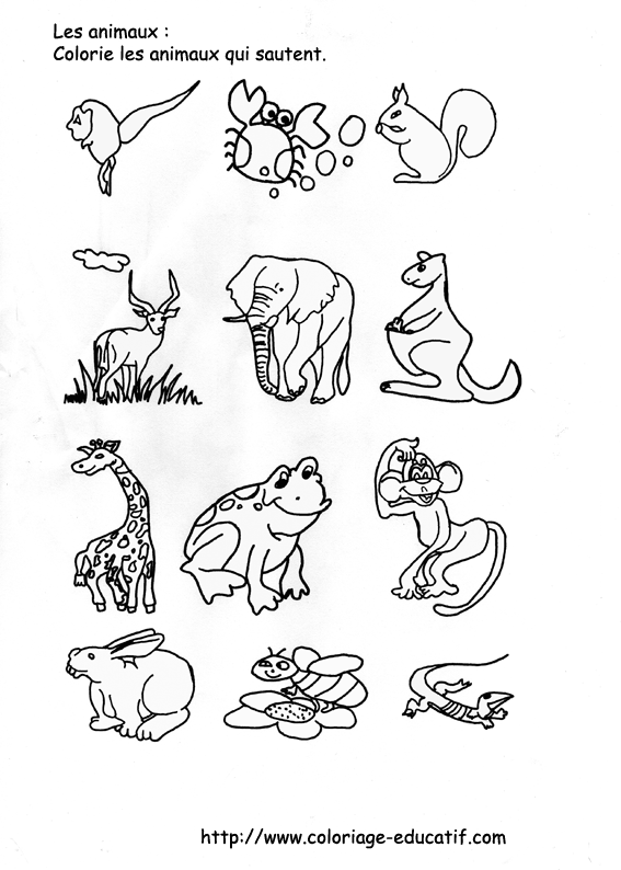 coloriage_les_animaux_qui_sautent.gif