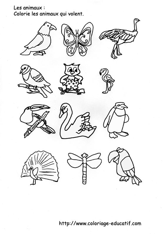 coloriage_les_animaux_qui_volent.gif