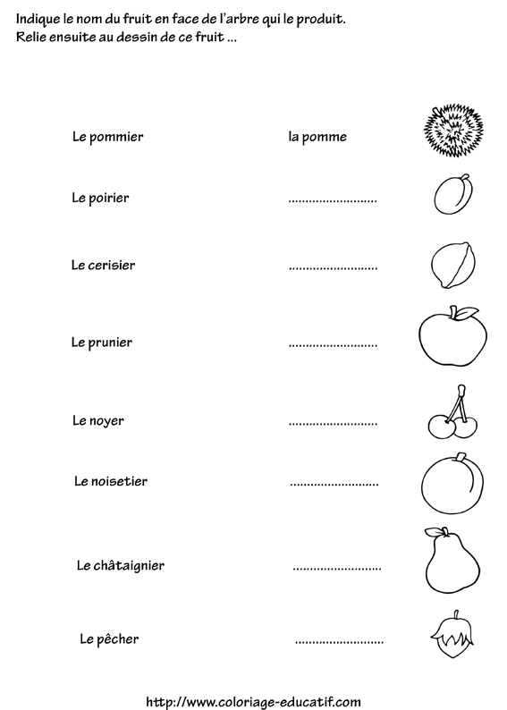 coloriage_les_arbres_et_leur_fruits.gif