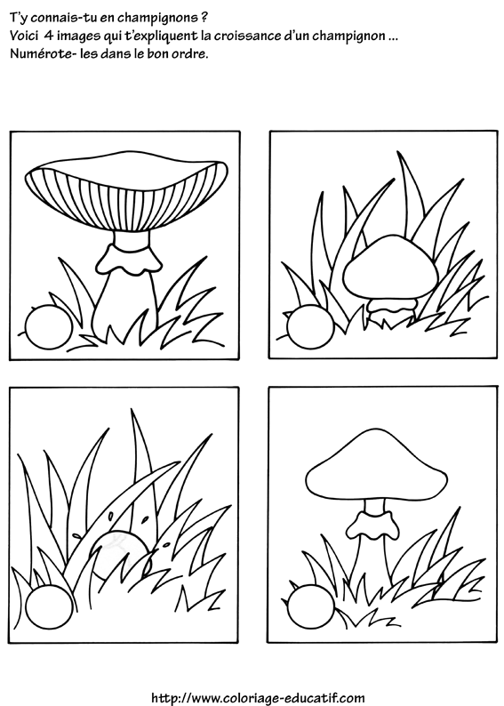 coloriage_les_champignons.gif