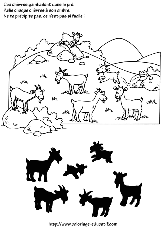 coloriage_les_chevres_gambadent_dans_le_pre.gif