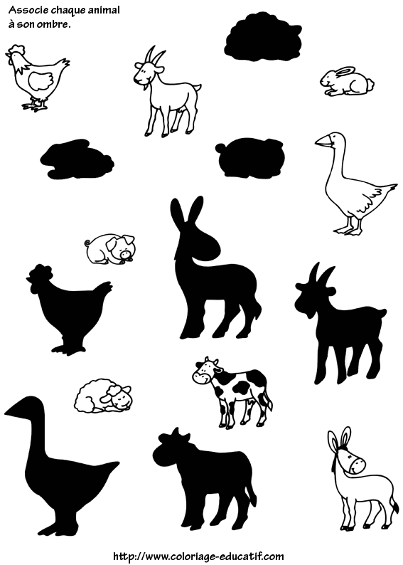 coloriage_les_ombres~0.gif