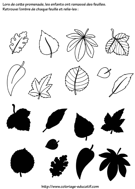 coloriage_les_ombres~1.gif