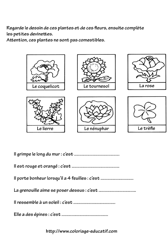 coloriage_les_plantes.gif