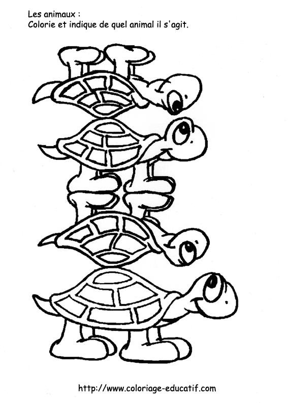 coloriage_les_tortues.gif