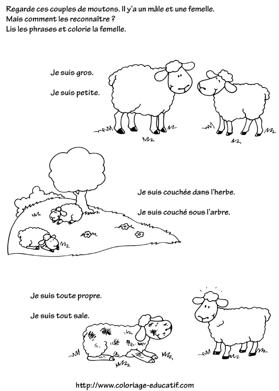 coloriage_reconnaissance_de_moutons.gif