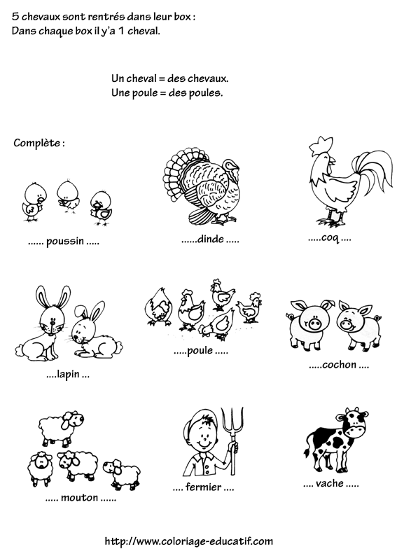 coloriage_singulier_et_pluriel.gif