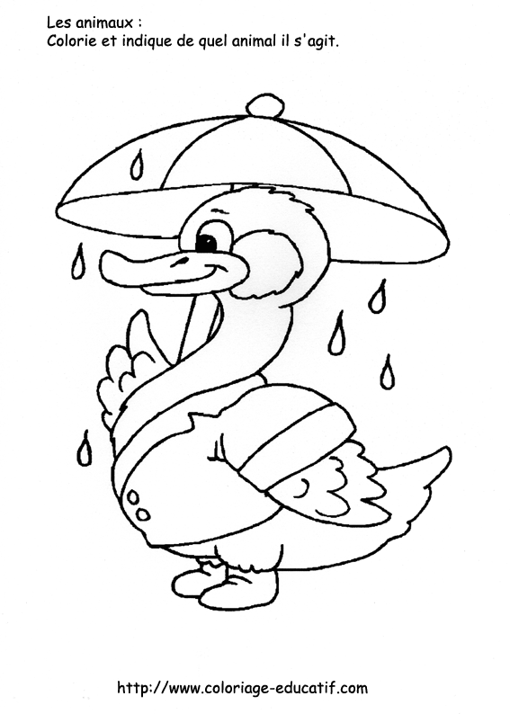 coloriage_sous_la_pluie.gif