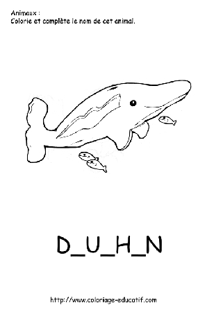 coloriage_dauphin.gif