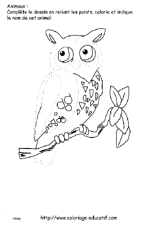 coloriage_hibou.gif