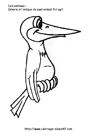 coloriage_l_oiseau.gif