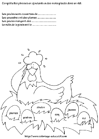 coloriage_la_poule_et_ses_oeufs.gif
