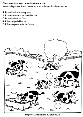 coloriage_le_pre_des_vaches.gif