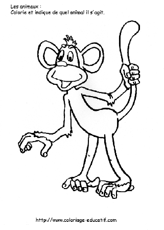 coloriage_le_singe.gif