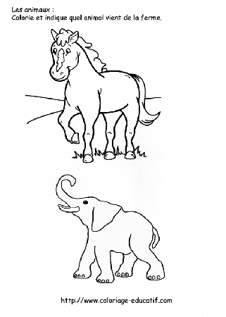 coloriage_lequel_vient_de_la_ferme.gif