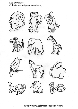 coloriage_les_animaux_carnivore.gif