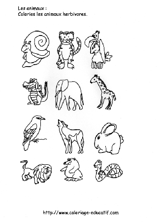 coloriage_les_animaux_herbivores.gif