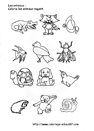 coloriage_les_animaux_qui_nagent.gif
