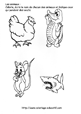 coloriage_les_animaux_qui_pondent.gif