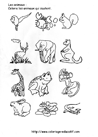coloriage_les_animaux_qui_sautent.gif