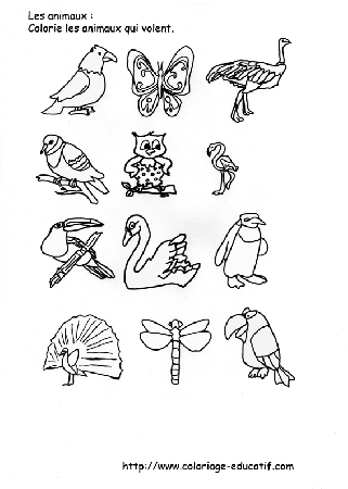 coloriage_les_animaux_qui_volent.gif