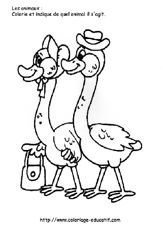 coloriage_les_oies.gif