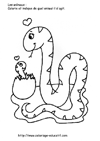 coloriage_les_serpents.gif