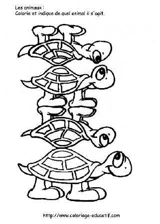 coloriage_les_tortues.gif