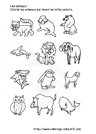 coloriage_milieu_polaire.gif