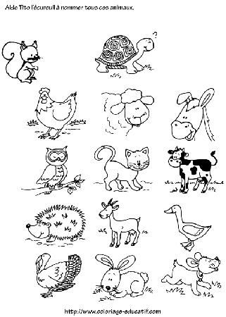 coloriage_nomme_les_animaux_avec_Tito.gif