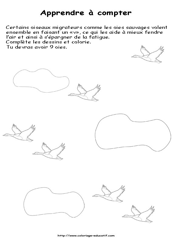 Apprendre_a_compter_oies.gif