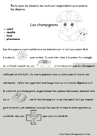 Les_champignons.gif