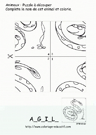 coloriage-decouper-poisson016.gif