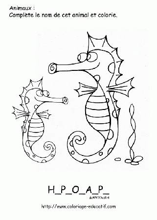 coloriage-mer002.gif